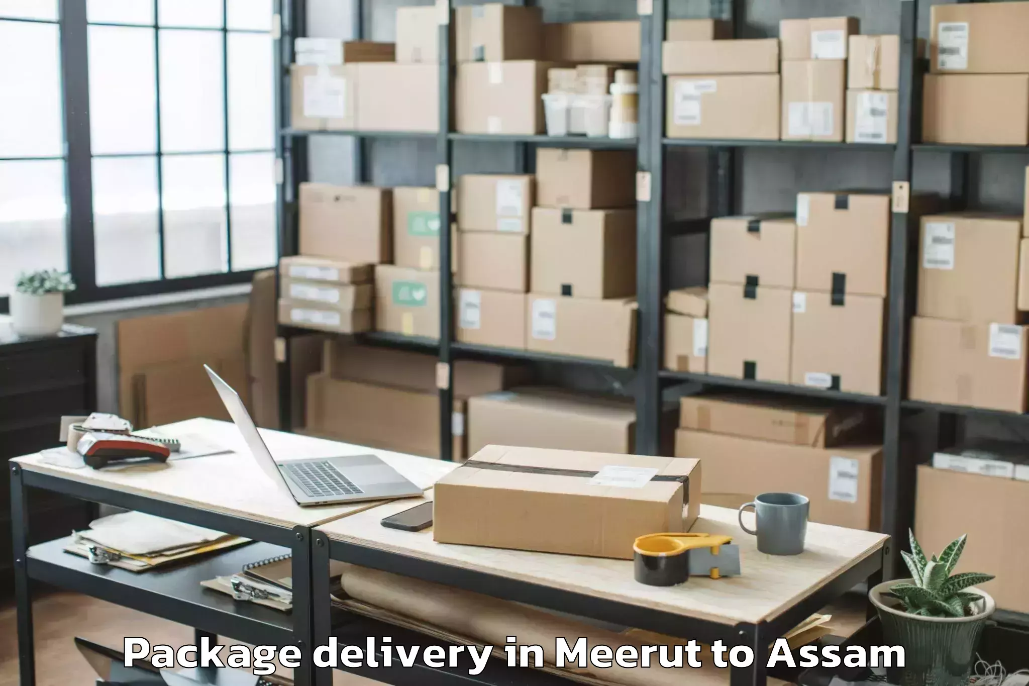 Quality Meerut to Dhakuakhana Pt Package Delivery